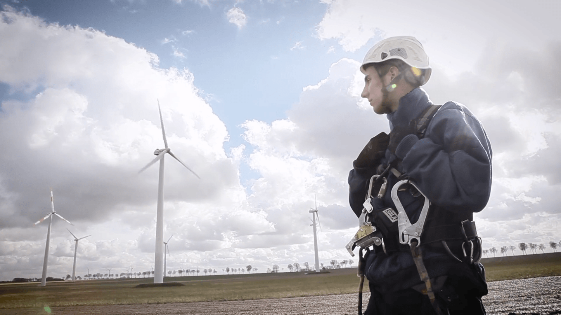 Windkraft im Fokus